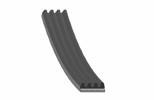 VIFTEREIM 14X855MM - DAYCO 4PK855 - Bilde 2