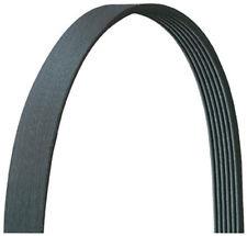 VIFTEREIM 21X1460MM - DAYCO 6PK1460 - Bilde 2