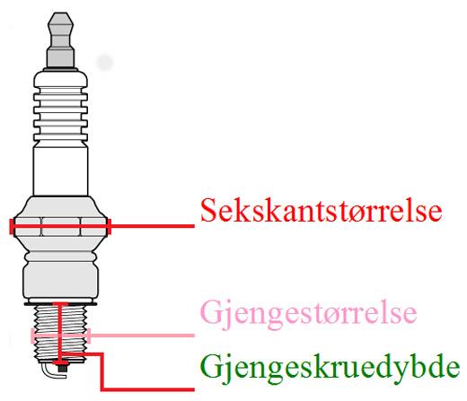 SE GRUPPE FOR TENNPLUGGER