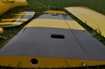 GRAECALIS EVO - Bilde 8