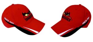 v02_28345E4F93A1E19E9FDA37058CF0A3C8.jpg CAPS RACING TENG TOOLS P-CAP8