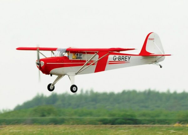 BLACK HORSE TAYLORCRAFT 22CC ARF - Bilde 1