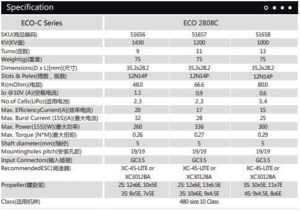 DUALSKY ECO 2808C V2 1200KV 75G