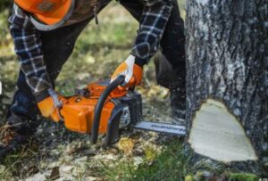 v02_90CFE69A5BBA3C90A9646783BC2984BD.jpg HUSQVARNA 445S 13" 1,3 325" MOTORSAG