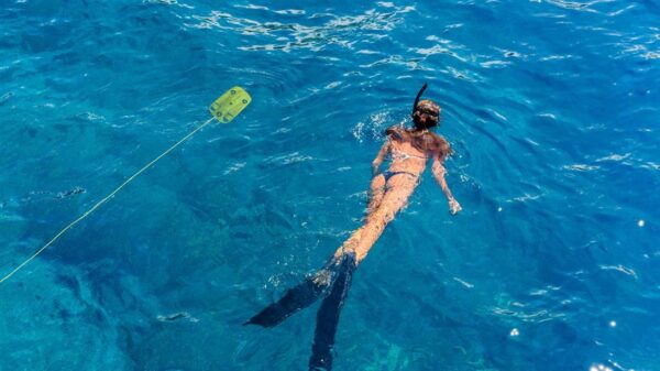 GLADIUS MINI 100M. SEKK - UNDERVANNSDRONE/ROV - Bilde 7
