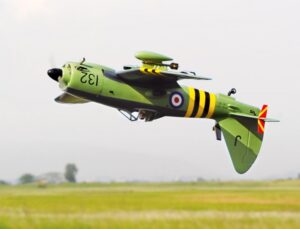 BLACK HORSE WESTLAND WYVERN S4 20CC ARF