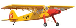 BLACK HORSE FIESLER FI156C STORCH ARF