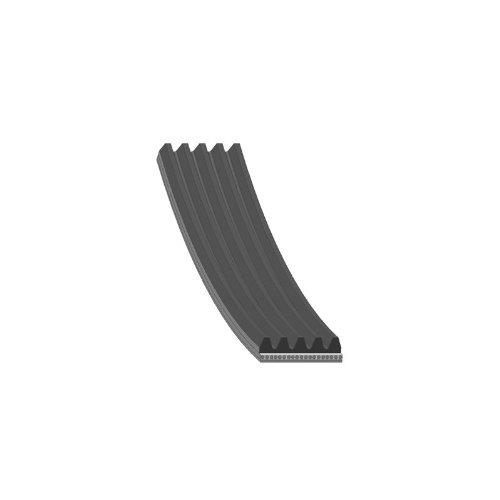 VIFTEREIM 18X1300MM - DAYCO 5PK1300 - Bilde 2