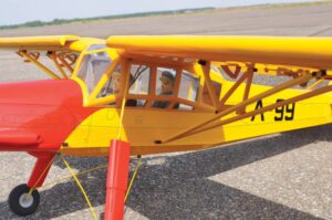 BLACK HORSE FIESLER FI156C STORCH ARF