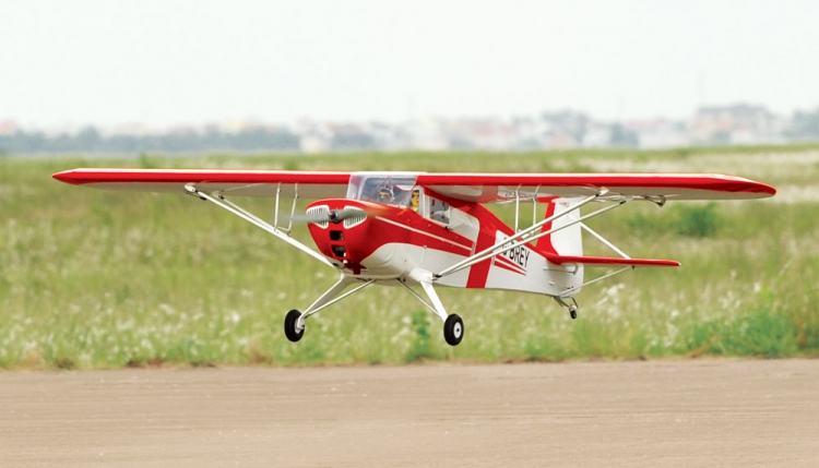 BLACK HORSE TAYLORCRAFT 22CC ARF