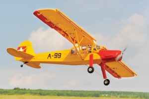 BLACK HORSE FIESLER FI156C STORCH ARF